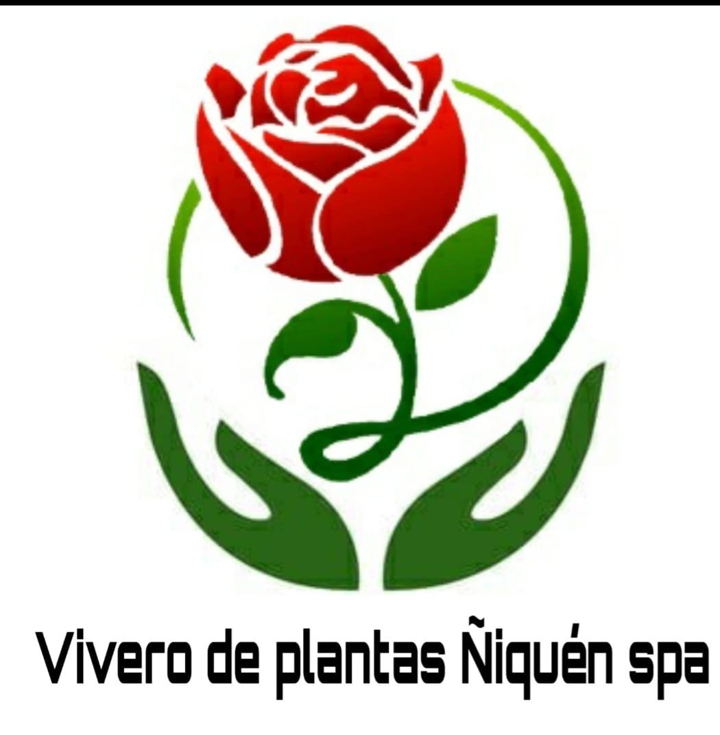 Imagen de WhatsApp 2025-04-19 a las 11.54.29_18dd5650