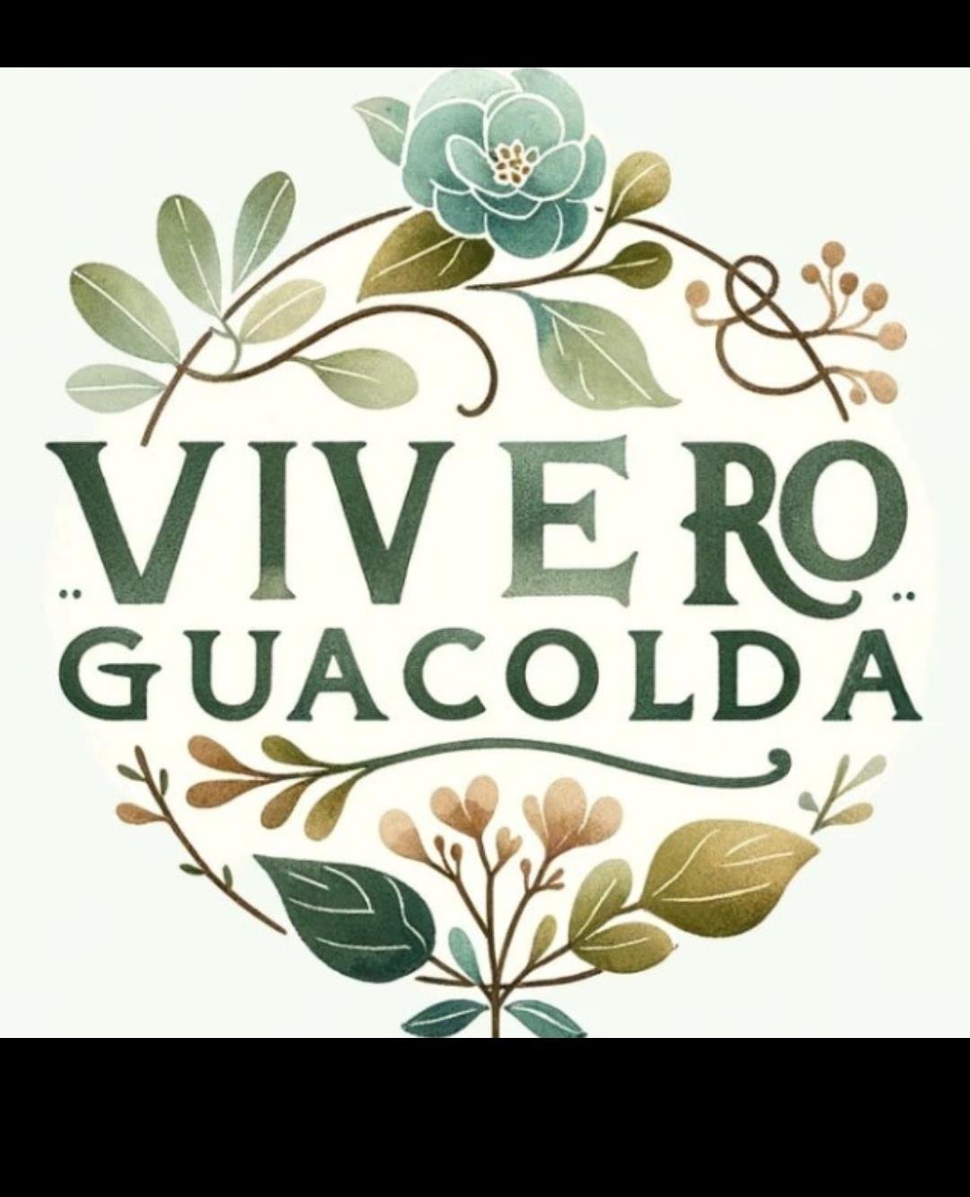 Imagen de WhatsApp 2025-04-21 a las 17.41.13_3a5e9d85